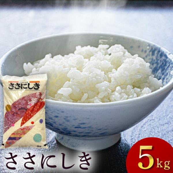 14日はポイント5倍！【予約販売】 令和7年度 新米「ササニシキ」山形県庄内産 白米 5kg