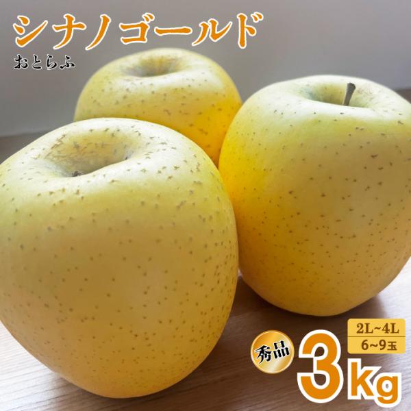 【2026年予約販売】おとらふ「シナノゴールド 3kg（秀品/2L〜4L）」山形県寒河江市　りんご　...