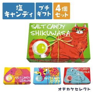 【 4個セット】プチギフト お菓子 ギフト セット 塩 キャンディ 飴 塩飴 塩キャンディ 熱中症対策 暑さ対策 おしゃれ かわいい 国産 個包装 お｜shonan-odekake