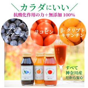 <お得な24本セット> 180g×24本 無添...の詳細画像2
