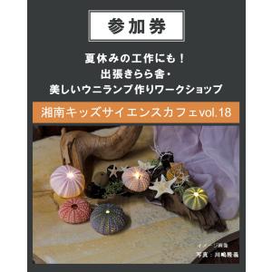 夏休みの工作にも！出張きらら舎・美しいウニランプ作りワークショップ　7/31（月）13:00~15:00