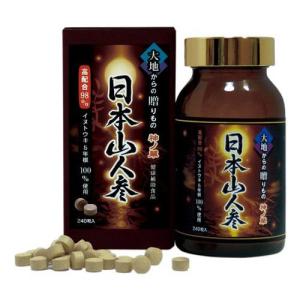 サプリメント 日本山人参 45カプセル（2袋）ヒュウガトウキ 国内製造