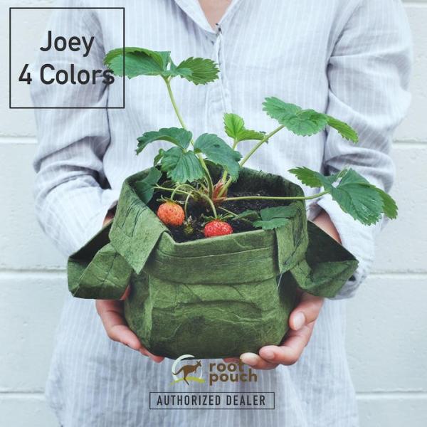 ルーツポーチ JOEY Root Pouch ペットボトル リサイクル 天然素材 不織布製 植木鉢 ...