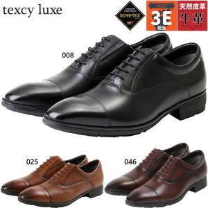 Texcy（テクシー） 4E幅 幅広 ワイド テクシーリュクス メンズ