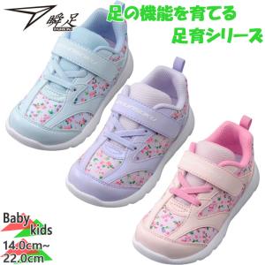 瞬足 ジュニア キッズ 足育 C-253 女の子 靴 シューズ スニーカー マジックテープ ベルクロ ローカット シュンソク SKF2530