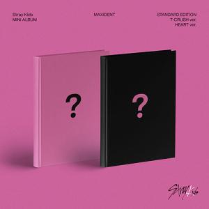 国内発送 STRAY KIDS - Cle : LEVANTER Mini Album CD 韓国盤