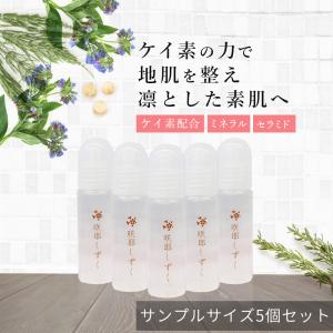 送料無料 コーム ミスト 美髪セット 髪質改善 咲耶しずく ワタシミスト