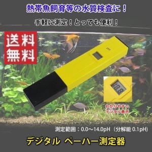 デジタル PHメーター 水質 検査 測定 ペーハー 測定器 計測器