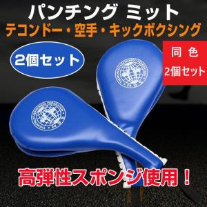 2個セット (計4個) テコンドーダブルキックパッド テコンドー 空手 キックボクシング トレーニング エクササイズ 高弾性 スポンジ ダイエット 全3色｜shop-always