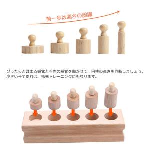 モンテッソーリ おもちゃ 教育 パズル 木製 ...の詳細画像3