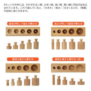 モンテッソーリ おもちゃ 教育 パズル 木製 ...の詳細画像4