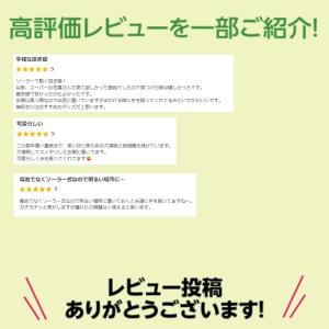 招き猫 ソーラー式 動く 手振り まねきねこ ...の詳細画像1