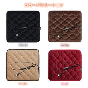 ホットマット 一人用 usb ミニ ウォームパ...の詳細画像4