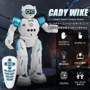 CADY WIKE R11 ロボット おもちゃ 電動ロボット USB充電式 ホビー プレゼント 誕生日 記念日 ジェスチャーコントロール リモコン操作