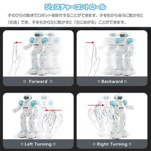 CADY WIKE R11 ロボット おもちゃ...の詳細画像3