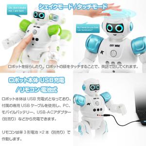 CADY WIKE R11 ロボット おもちゃ...の詳細画像5
