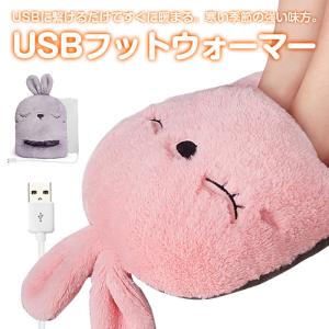 USBフットウォーマー 電気 足温器 足元ヒーター ホット あったか 冷え対策 USB給電式 防寒 オフィス 室内 デスク プレゼント 全2色