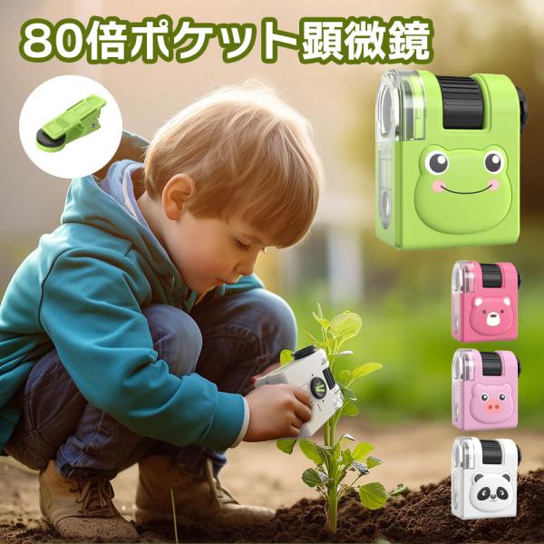 80倍 ポケット顕微鏡 80X おもちゃ 自由研究 LEDライト UVライト スマホ撮影用レンズクリ...