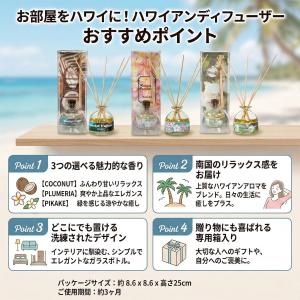 ディフューザー ハワイアン雑貨 リードディフュ...の詳細画像4
