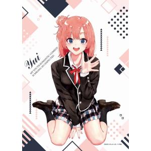 やはり俺の青春ラブコメはまちがっている。完 B2タペストリー 一色 