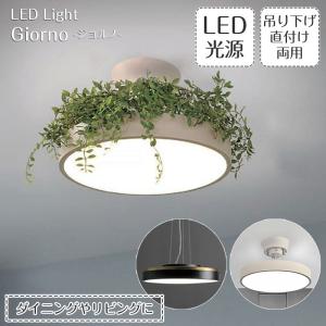 ODELIC（オーデリック） ODELIC LED電球 E26 60W相当 調光 調色 電球色