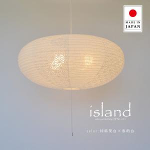 Panasonic（パナソニック） LGB11602 和風照明 LEDペンダント 電球色