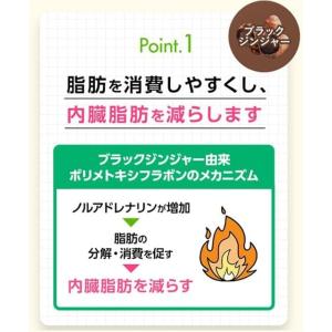 ファンケル FANCL 内脂サポート 30日分...の詳細画像3