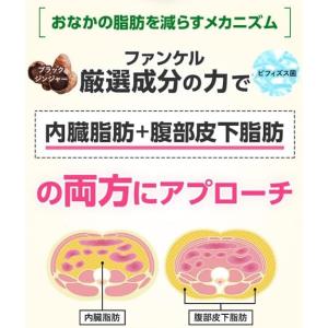 ファンケル FANCL 内脂サポート 30日分...の詳細画像5