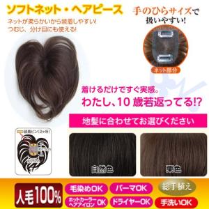 Beautiful Life ヤフー店 薄毛対策 雑貨 小物 Yahoo ショッピング