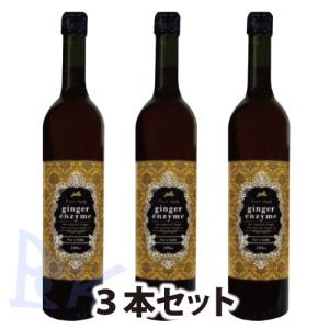 セット販売 ジンジャー酵素 500ml ３本セット スタイルクリエイト エンザイムシリーズ Sagaretxe Net