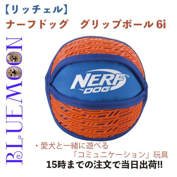 犬 おもちゃ ボール 噛むおもちゃ リッチェル ナーフドッグ グリップボール 6i 小型犬 中型犬 ...