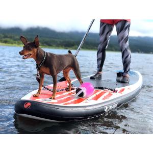 犬 お散歩ランタン アウトドア SOLR LA...の詳細画像3