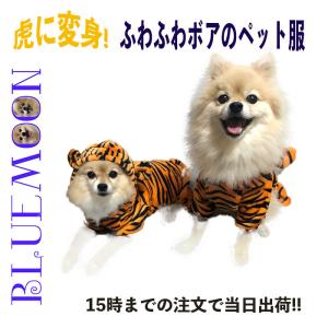 トラ柄 犬服 アクセサリー の商品一覧 犬用品 ペット用品 生き物 通販 Yahoo ショッピング