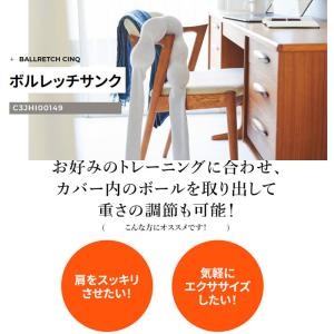 ミズノ 健康グッズ エクササイズグッズ 肩 首...の詳細画像1