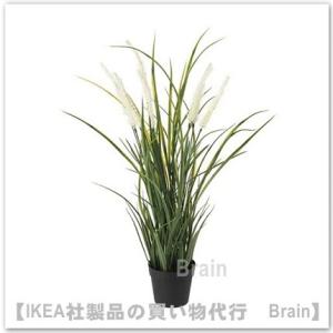 ＩＫＥＡ/イケア　FEJKA/フェイカ　人工観葉植物55 cm　グラス(004.339.37)