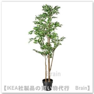 ＩＫＥＡ/イケア　FEJKA/フェイカ　人工観葉植物170 cm　ベンジャミン(004.915.74...