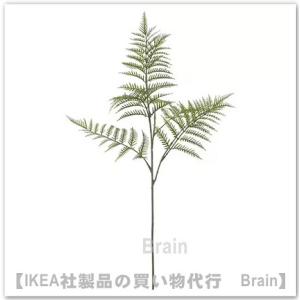 ＩＫＥＡ/イケア　SMYCKA/スミッカ　フェイクリーフ63 cm　シダ(005.601.43/00560143)｜shop-brain