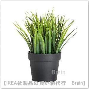 イケア（IKEA） FEJKA/フェイカ 人工観葉植物/ウォールホルダー付き 3