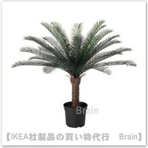 ＩＫＥＡ/イケア　FEJKA/フェイカ　人工観葉植物83 cm　ソテツ(104.103.13)｜shop-brain