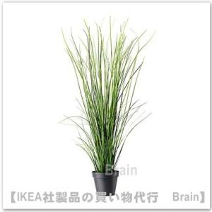 ＩＫＥＡ/イケア　FEJKA/フェイカ　人工観葉植物105 cm　グラス(201.992.74)