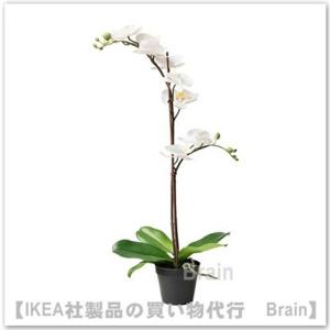 ＩＫＥＡ/イケア　FEJKA/フェイカ　人工観葉植物65 cm　Orchid ホワイト(202.94...