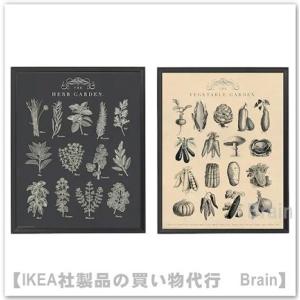 ＩＫＥＡ/イケア　KNOPPANG/クノッペング　フレーム ポスター付き2個セット　ガーデン(204.657.72/20465772)｜shop-brain