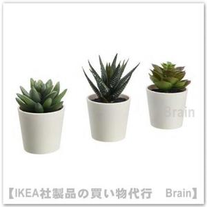 ＩＫＥＡ/イケア　FEJKA/フェイカ　人工観葉植物 鉢カバー付き12 cm　3個セット　Succu...