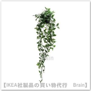 ＩＫＥＡ/イケア　FEJKA/フェイカ　人工観葉植物/つり下げ型70 cm(403.495.45)｜shop-brain