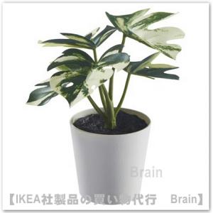 ＩＫＥＡ/イケア　FEJKA/フェイカ　人工観葉植物 鉢カバー付き14 cm　モンステラ(405.932.07/40593207)