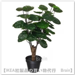 IKEA/イケア FEJKA/フェイカ 人工観葉...の商品画像