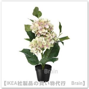 ｉｋｅａ イケア Fejka 人工観葉植物50 Cm アジサイ グリーン Con Imedia Net