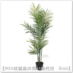 ＩＫＥＡ/イケア　FEJKA/フェイカ　人工観葉植物180 cm　ケンチャヤシ(605.481.86...