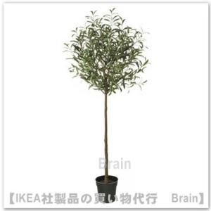 ＩＫＥＡ/イケア　FEJKA/フェイカ　人工観葉植物150 cm　オリーブ グリーン(606.176.98/60617698)