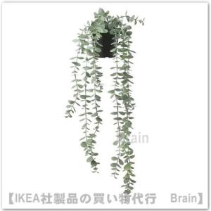 ＩＫＥＡ/イケア　FEJKA/フェイカ　人工観葉植物/つり下げ型58 cm　ユーカリ(904.668...